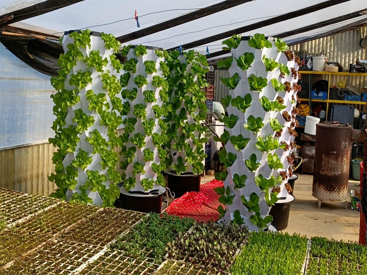 Aeroponic Tower by Shivraj Agro Tech